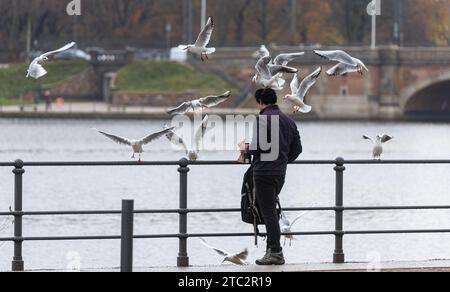 Hamburg, Deutschland. Dezember 2023. Ein Mann füttert Möwen im Niesel auf der inneren Alster. Quelle: Markus Scholz/dpa/Alamy Live News Stockfoto