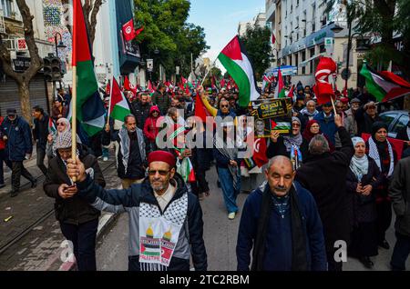 Tunis, Tunesien. 10. Dezember 2023: Tunis, Tunesien. 10. Dezember 2023. Im Zentrum von Tunis findet eine Kundgebung statt, in der die Freilassung politischer Gefangener sowohl in Tunesien als auch in Palästina gefordert wird. Die Teilnehmer schwenkten die palästinensische und die tunesische Flagge während des Protestes, der von der Koalition der Nationalen Heilsfront organisiert wurde (Credit Image: © Hasan mrad/IMAGESLIVE via ZUMA Press Wire) NUR REDAKTIONELLE VERWENDUNG! Nicht für kommerzielle ZWECKE! Quelle: ZUMA Press, Inc./Alamy Live News Stockfoto