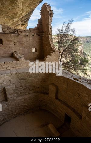 Große Kiva und verbleibende Steinmauer am Rande des Balcony House im Mesa Verde Nationalpark Stockfoto