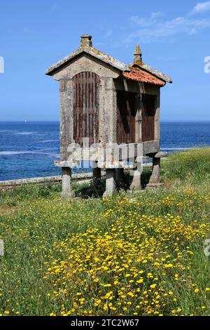 Hórreo del monte Boi, Granitsteinspeicher, Baiona, Galicien, Nordwesten Spaniens, Europa Stockfoto