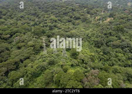 Hoher Turm für die Stromverteilung rund um den grünen Wald aus der Drohne Stockfoto