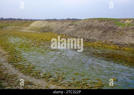 Das Bild zeigt einen kleinen Teich, der mit grünen Algen bedeckt ist, mit einer Schmutzdämmung auf einer Seite unter einem klaren blauen Himmel. Stockfoto