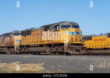 Union Pacific Zugwagen in Bailey Yard in North Platte, Nebraska, USA Stockfoto