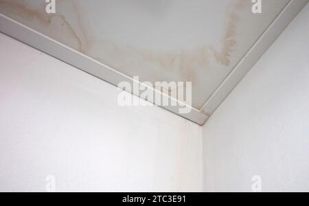 Flecken an Decke und Wand durch Wasseraustritt, selektiver Fokus Stockfoto