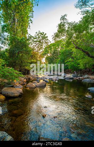 Emerald Elegance Serene Stream und Rocky Pebbles im Deep Green Forest Stockfoto