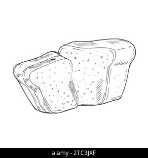 Vektor Brot handgezeichnetes Set Illustration. Andere Arten von Weizen, Mehl frisches Brot. Gluten Lebensmittel Bäckerei gravierte Sammlung Stock Vektor