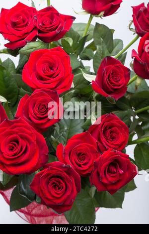 Blumenstrauß aus roten Rosen blühen Dunkel Stockfoto