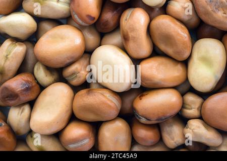 Nahaufnahme und Textur von Favabohnen, Draufsicht Stockfoto