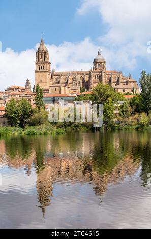 Blick über den Fluss Tormes auf die neue Kathedrale von Salamanca zur Himmelfahrt der Jungfrau Maria in der spanischen Stadt Salamanca Castile Leon Spanien Stockfoto