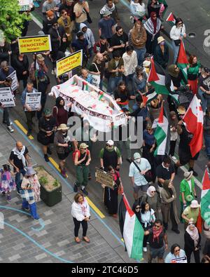 Der pro-palistinische protestmarsch auf der Queen Street in Auckland, NZL, 25. November 2023 Stockfoto