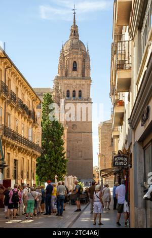 Touristen und Urlauber vor der Kathedrale von Salamanca zur Himmelfahrt der Jungfrau Maria in der spanischen Stadt Salamanca Castile Leon Spanien Stockfoto