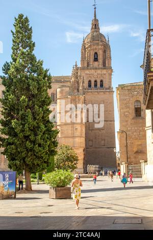 Touristen und Urlauber vor der Kathedrale von Salamanca zur Himmelfahrt der Jungfrau Maria in der spanischen Stadt Salamanca Castile Leon Spanien Stockfoto