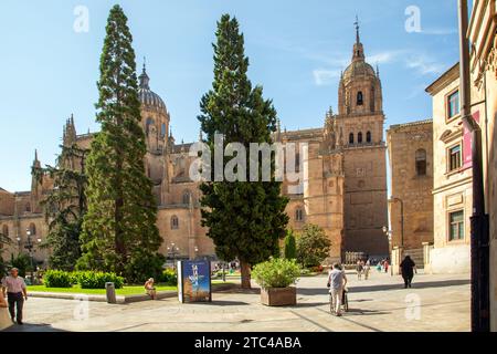 Touristen und Urlauber vor der Kathedrale von Salamanca zur Himmelfahrt der Jungfrau Maria in der spanischen Stadt Salamanca Castile Leon Spanien Stockfoto