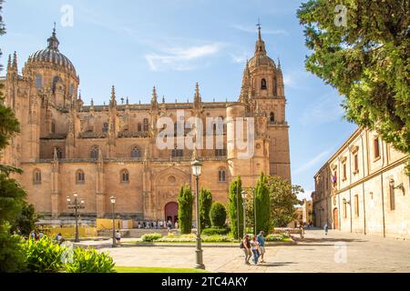 Touristen und Urlauber vor der Kathedrale von Salamanca zur Himmelfahrt der Jungfrau Maria in der spanischen Stadt Salamanca Castile Leon Spanien Stockfoto