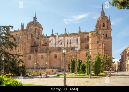 Touristen und Urlauber vor der Kathedrale von Salamanca zur Himmelfahrt der Jungfrau Maria in der spanischen Stadt Salamanca Castile Leon Spanien Stockfoto