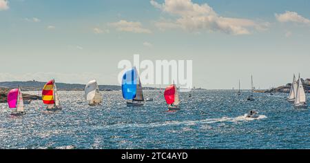 TJ?rn, Schweden - 17. August 2013: TJ?rn Runt ist ein jährlich stattfindender Langstreckensegelwettbewerb, der rund um die Insel Tj?rn stattfindet. Ansicht von R?nn? Stockfoto