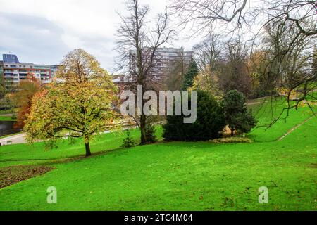 Park Leopold neben dem Gebäude des Europäischen Parlaments mit herbstlicher Blattfarbe in Brüssel. . Grüner Grasbaum mit gelben Blättern und immergrünen Bäumen ( S Stockfoto