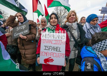 Pro-palästinensische Anhänger halten während der Kundgebung Fahnen und Plakate, um Israels Invasion und Besetzung Palästinas anzuprangern. Hunderte von Menschen nahmen an einer pro-palästinensischen Demonstration in den Haag Teil, um den Krieg und den Völkermord zu verurteilen, der von Israel begangen wird. Sie verlangten einen sofortigen Waffenstillstand und sofortigen Zugang zu humanitärer Hilfe. Nach einer Sitzung von Reden marschierten die Demonstranten durch die Stadt mit palästinensischen Fahnen und Spruchbändern und zu den Gesängen „vom Fluss zum Meer Palästina wird frei sein“ und „Waffenruhe jetzt“. Und Israel als terroristischen Staat zu bezeichnen. Stockfoto