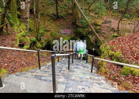 Narusawa Eishöhle im Nationalpark Fuji, Japan Stockfoto