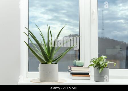 Wunderschöne Topf-Aloe Vera, andere Pflanzen und Bücher auf der Fensterbank drinnen Stockfoto