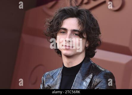 Westwood, USA. Dezember 2023. Timothee Chalamet kam am 10. Dezember 2023 zur Hauspremiere „Wonka“ im Regency Village Theatre in Westwood, Kalifornien. © Lisa OConnor/AFF-USA.com Credit: AFF/Alamy Live News Stockfoto