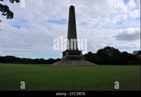 Dublino - Wellington Monument im Phoenix Park Stockfoto