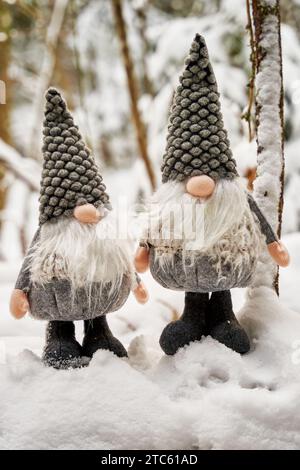 Die beiden fröhlichen Schneegomben stehen in einem malerischen Winterwunderland. Stockfoto