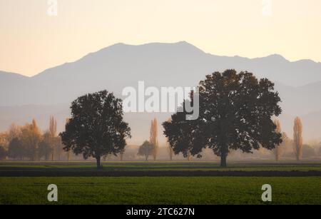 Ländliche Atmosphäre Stockfoto