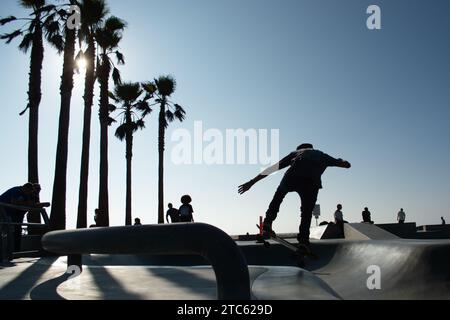 Ein Skateboarder führt einen Trick auf einer Halfpipe in einem Skatepark, umgeben von Palmen Stockfoto