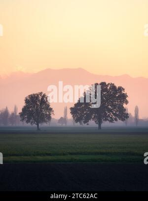 Minimaler ländlicher Sonnenuntergang Stockfoto