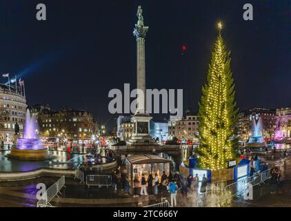 Trafalgar Square bei Nacht mit dem weihnachtsbaum. Stockfoto