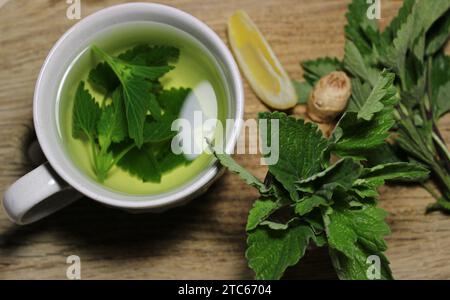 Ein Haufen frischer Minze, Zitronenscheiben und Ingwer in der Nähe einer Tasse Pfefferminztee Detailfoto von oben Stockfoto