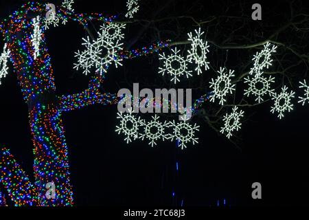 Panoramablick auf farbenfrohe Lichter bei Nacht mit Schneeflocken, die an einem Baum hängen Stockfoto