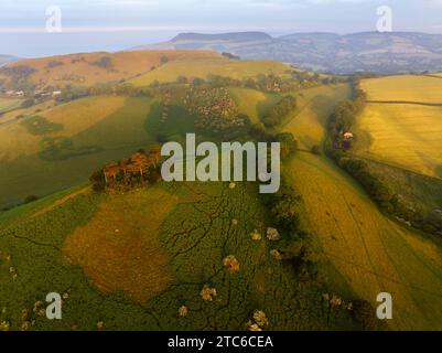 Blick aus der Vogelperspektive auf Colmer's Hill bei Sonnenaufgang an einem Sommermorgen, West Dorset, England. Sommer (Juni) 2023. Stockfoto