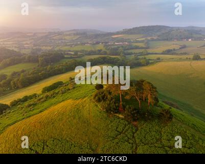 Blick aus der Vogelperspektive auf Colmer's Hill bei Sonnenaufgang an einem Sommermorgen, West Dorset, England. Sommer (Juni) 2023. Stockfoto