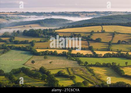 Aus der Vogelperspektive auf die sanfte Landschaft am Stadtrand von Dartmoor, Devon, England. Sommer (Juni) 2023. Stockfoto