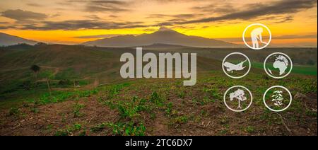 Tourismus und landwirtschaftliche Lernressourcen, Kautschukplantage, Flächenvorbereitung für Kautschukanbau, Panorama Stockfoto