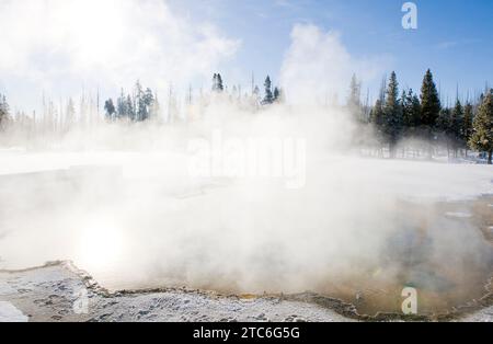 Dampf, der im Winter aus Thermalbädern im Yellowstone-Nationalpark, Wyoming, aufsteigt. Stockfoto