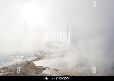 Dampf, der im Winter aus Thermalbädern im Yellowstone-Nationalpark, Wyoming, aufsteigt. Stockfoto