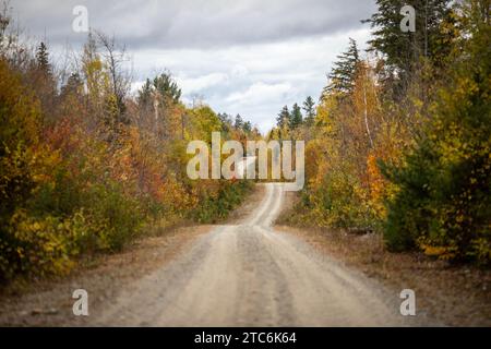 Unbefestigte Straße in der Nähe von Millinocket, Maine, windet sich durch farbenfrohe Herbstlaub Stockfoto