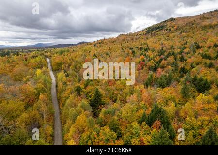 Die Feldstraße führt durch buntes Laub im Herbst, Millinocket, Maine Stockfoto