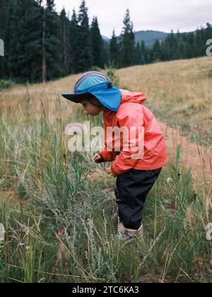 Mädchen mit wilden Blumen in den Bergen von Colorado Stockfoto