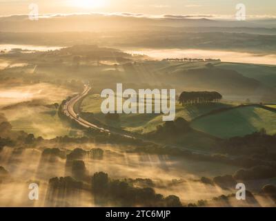 Aus der Vogelperspektive auf Cookworthy knapp (fast Home Trees) in der Nähe der A30 an einem nebeligen Herbstmorgen, Lifton, Devon, England. Herbst (September) 2023. Stockfoto