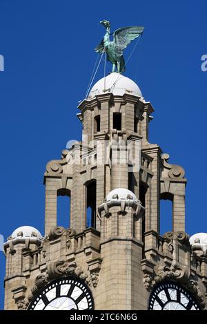 Corner Clock Tower & Liver Bird of the Royal Liver Building (1908-1911) von Walter Aubrey Thomas, am Pier Head oder Waterfront Liverpool England UK Stockfoto