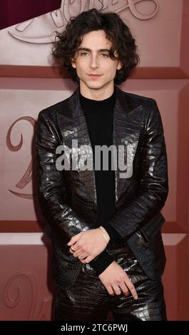 LOS ANGELES, KALIFORNIEN - 10. DEZEMBER: Timothée Chalamet nimmt an der Los Angeles Premiere von Warner Bros. Teil 'Wonka' im Regency Village Theatre am Dezember Stockfoto