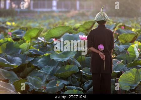 (231211) -- PEKING, 11. Dezember 2023 (Xinhua) -- Ein Bürger betrachtet Lotusblüten am Westsee in Hanoi, der Hauptstadt Vietnams, 15. Juli 2020. Die vietnamesische Hauptstadt Hanoi liegt am Delta des Roten Flusses und ist eine antike Stadt mit einer Geschichte von mehr als tausend Jahren. Mit seiner natürlichen Landschaft und dem Blick auf die subtropische Stadt zieht es viele Touristen aus dem in- und Ausland an. (Xinhua/Wang Di) Stockfoto