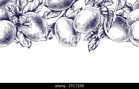 Zitronen saftig, reif mit Blättern, Blütenknospen an den Zweigen, ganz und Scheiben. Grafische botanische Illustration, handgezeichnet in blauer Tinte. Nahtloser Rand Stock Vektor