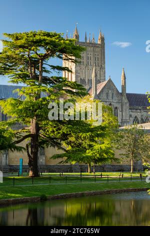 Wells Cathedral spiegelt sich im Graben des Bischofspalastes in Wells, Somerset, England. Frühjahr (Mai) 2019. Stockfoto