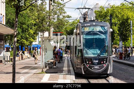 Strassenbahn eine Strassenbahn der Linie 3 steht an der Haltestelle Stadttheater und lässt Fahrgäste aus- und einsteigen. Freiburg im Breisgau, Deutschland, 07.08.2022 *** Straßenbahn Eine Straßenbahn der Linie 3 steht an der Haltestelle Stadttheater und lässt Passagiere aus Freiburg im Breisgau, Deutschland, 07 08 2022, ein- und aussteigen Stockfoto