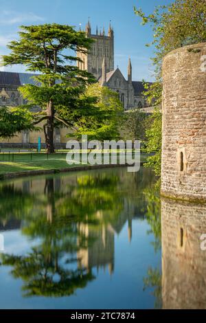 Wells Cathedral spiegelt sich im Graben des Bischofspalastes in Wells, Somerset, England. Frühjahr (Mai) 2019. Stockfoto